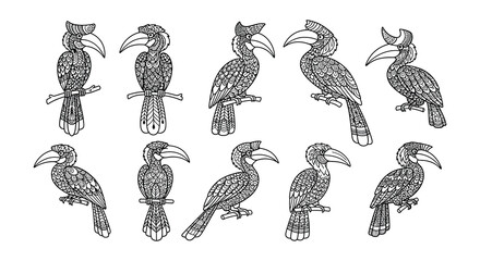 Intricate black and white illustrations depicting various hornbill bird species © Begum