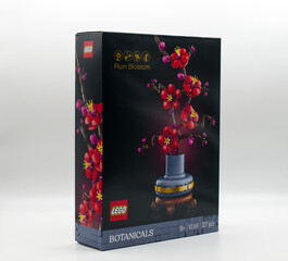 Fototapeta premium Bologna - Italy - March 3, 2026: LEGO Botanicals Plum Blossom set 10369 packaging isolated on white background.