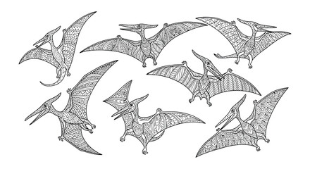 A collection of intricately detailed pterosaur illustrations in black and white © Begum