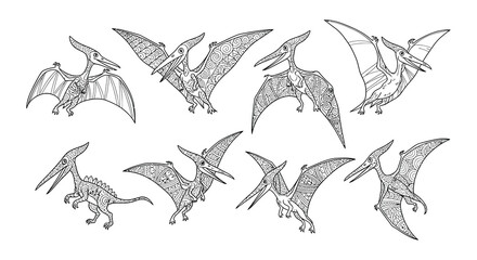 A collection of intricately detailed pterosaur illustrations in black and white © Begum