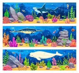Game underwater landscape or seascape vector background coral reefs, seaweeds, rocks, tropical fish and large sea mammals. Hammerhead shark, narwhal and white beluga among fish and starfish © Vector Tradition