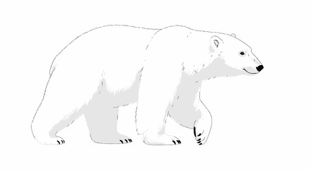 Fototapeta premium Majestic polar bear in dynamic walking pose