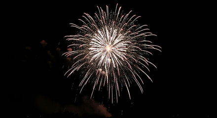 Fireworks explosion in night sky