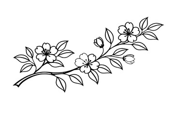 Naklejka premium Minimal Botanical Flower Branch Line Art with Leaves Elegant Floral Illustration Isolated on Transparent Background