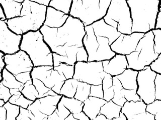 Grunge Cracked Earth Texture Overlay