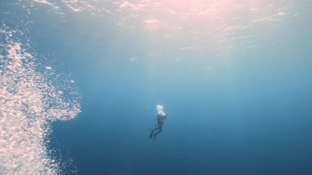 Silhouettes of scuba divers ascending toward the ocean surface in the Red Sea. Sunlight filters through clear blue water as the divers slowly rise, creating a dramatic underwater scene.