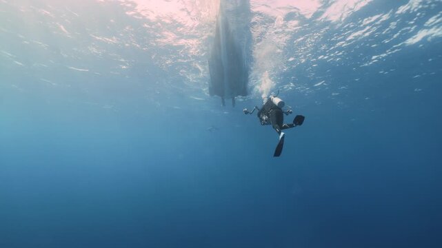 Silhouettes of scuba divers ascending toward the ocean surface in the Red Sea. Sunlight filters through clear blue water as the divers slowly rise, creating a dramatic underwater scene.
