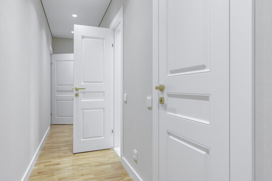 Bright Modern Hallway with White Classic Doors and Gold Handles