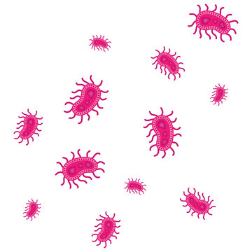 Salmonella Bacterium Icon