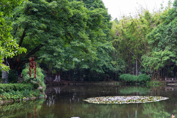Obraz premium Calm pond reflections in Wangjiang Pavilion Park, Chengdu
