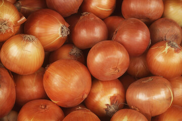 Many onion bulbs as background	