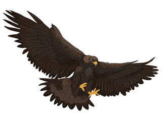 Obraz premium Vector golden eagle flying and landing isolated on white. Powerful bird of prey with wings spread. Wild eagle character for logo, nature and wildlife design