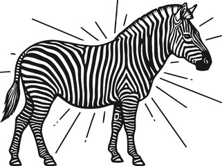 Fototapeta premium Black and white zebra illustration with sunburst lines striped wild african animal standing side view design