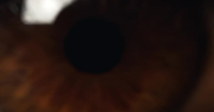 Close-up of a brown human eye.
