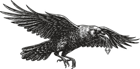 Fototapeta premium Black raven flying with a key in its beak vintage bird illustration with detailed feathers and outstretched wings