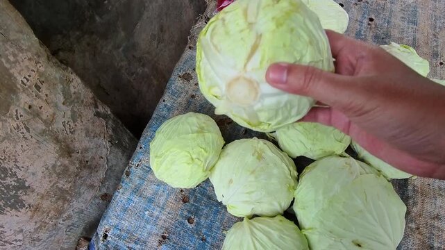 Cinematic First-person Video of a woman's hand selecting a head of cabbage from a pile of cabbage on a table. POV Footage of shopping at a traditional market in 4K HD