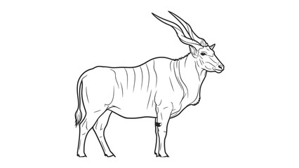 Obraz premium Elegant Eland: A detailed sketch captures the graceful form of an eland, showcasing its distinctive features against a stark backdrop. 
