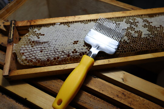 Uncapping fork laying on top of some uncapped honey comb in a super frame from a beehive