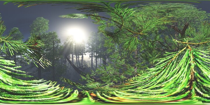 HDRI, environment map , Round panorama, spherical panorama, equidistant projection, panorama 360, Forest and swamp, 3d rendering