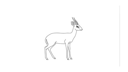 Fototapeta premium Gazelle Sketch: A delicate line drawing of a gazelle, poised and elegant, captured in simple yet striking detail.
