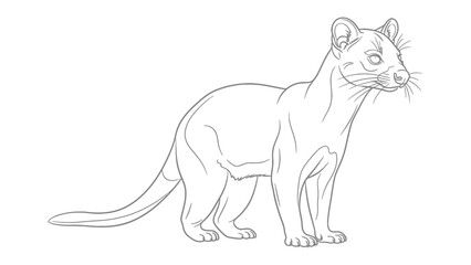 Obraz premium Fossa Outline: Minimalist line drawing of a fossa, showcasing its unique feline-like features and long tail, ideal for educational materials.