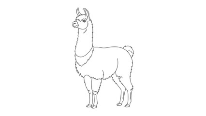 Naklejka premium Elegant Llama Portrait: A sleek, minimalistic black and white outline showcases the graceful form of a llama, perfect for creative design and educational projects.