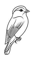 Obraz premium Minimalist black and white vector illustration of a small songbird perched side view simple outline engraving style detailed feathers and beak design