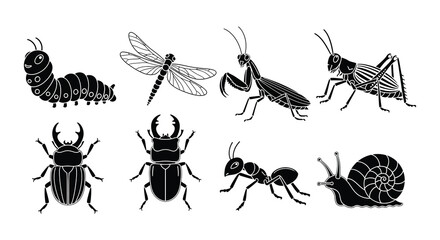 Collection of various black and white insect illustrations displayed on white © nurjahan
