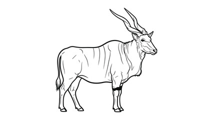 Fototapeta premium Elegant Eland Outline: A detailed black and white illustration of a magnificent eland antelope, standing gracefully against a simple backdrop.