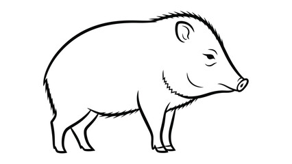 Fototapeta premium Wild Pig Outline: A simple illustration of a wild pig, perfect for educational resources, design projects, and nature-themed creations.
