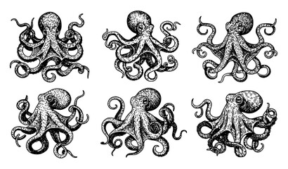 Seamless Octopus Silhouette Pattern Vector Black Marine Repeat Design © Joyantaroy