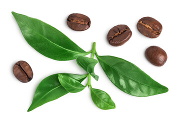 Fototapeta premium Coffee beans with green coffee leaves isolated on white background.