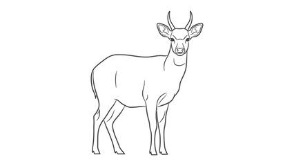 Deer Contour: A simple line drawing of a deer stands gracefully, its form defined in elegant monochrome, capturing the essence of the creature in a minimalist style. © Abu
