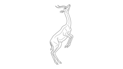 Graceful Gerenuk in Silhouette: A delicate sketch portrays a Gerenuk gracefully reaching upwards, its slender form and elegant horns silhouetted, embodying the essence of wildlife in art.