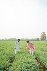 Naklejka premium two young indian farmers standing together at green agricultural field