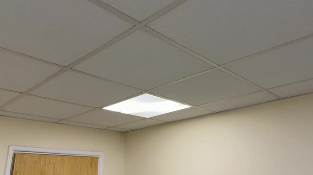 Standard office ceiling tiles and lighting