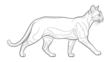 Fototapeta premium Contour of Cat in Motion: A sleek line drawing captures the elegance of a cat in mid-stride, showcasing its graceful form and poised movement. 