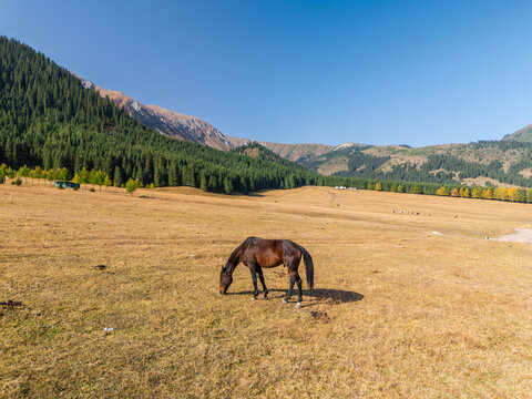 Aerial view of the beautiful Jeti-Oguz Valley in autumn, Issyk-Kul Region, Kyrgyzstan