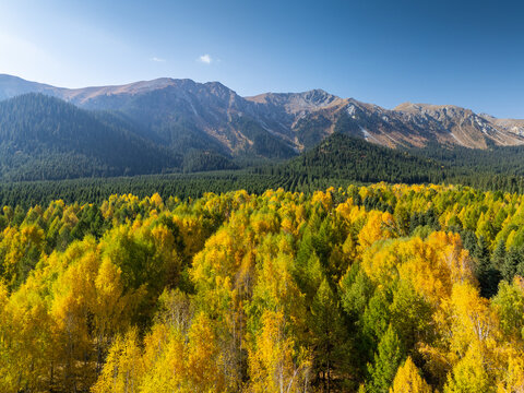 Aerial view of the beautiful Jeti-Oguz Valley in autumn, Issyk-Kul Region, Kyrgyzstan