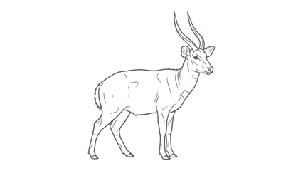 Elegant Antelope Line Drawing: A sleek antelope stands poised in a clean, minimalist line drawing, showcasing its elegant form against a stark background.  © abidakhatun