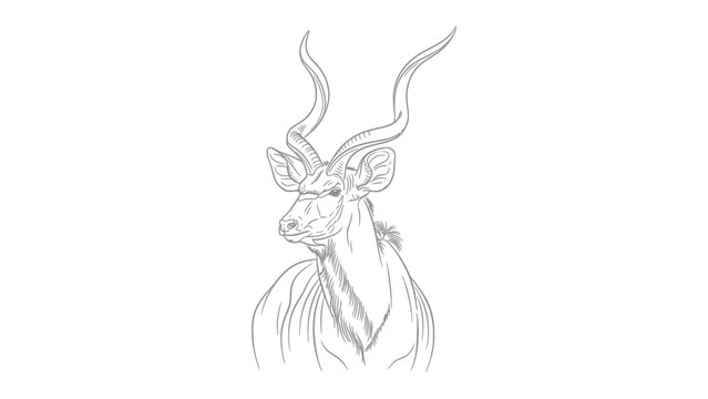 Majestic Kudu Portrait: A detailed sketch captures the elegance of a kudu, showcasing its spiral horns and striking features.