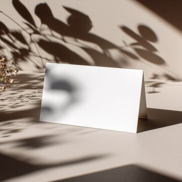 Blank folded place card mockup, dried flowers nearby. White textured paper tent card for wedding seating, menu or name tag. Elegant rustic aesthetic with botanical shadows