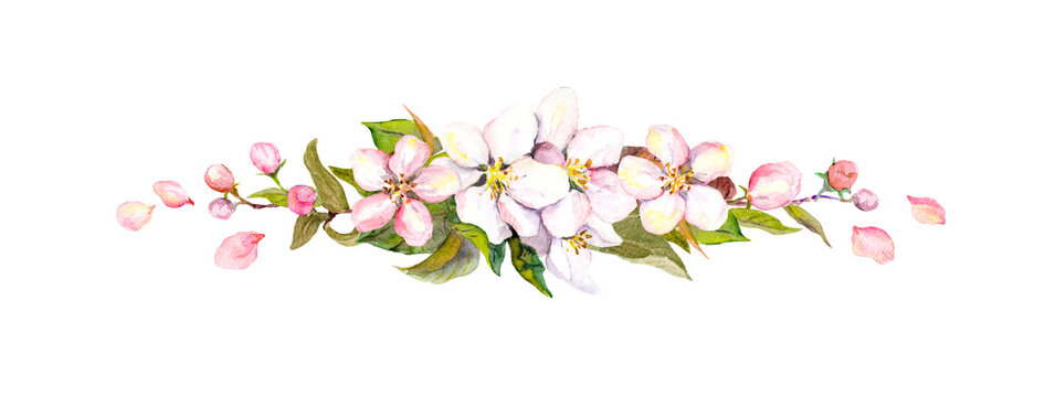Watercolor blossom border with pink and white flowers, buds, leaves and falling petals isolated on white. Decorative floral divider for cards, invitations and scrapbook design.
