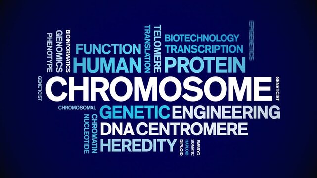 Chromosome animated word cloud-text design animation tag kinetic typography seamless loop.
