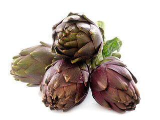 Obraz premium group of purple artichoke