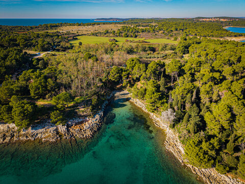 Aerial view of the vibrant turquoise waters meeting the rugged coastline beneath a canopy of lush green trees, creating a stunning contrast of colors and textures, south, Istria County, Croatia.