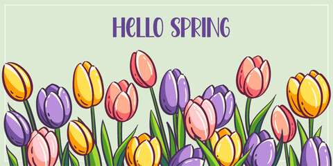 Colorful vector illustration of yellow, purple and pink tulips in a framed pastel scene with HELLO SPRING text, a cheerful spring greeting card layout.  © nearbirds