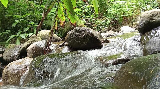 Clear Mountain Stream Flowing Over Rocks in Tropical Forest