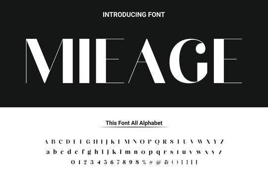 Luxury lowercase display font typeface to make your brand looks premium. Vector Fonts. Alphabet of sans serif font with modern typography. bold and tall vector font.