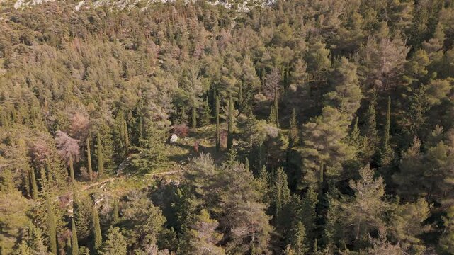 Aerial view of lush Ymittos Mountain forest in Greece, serene nature scene